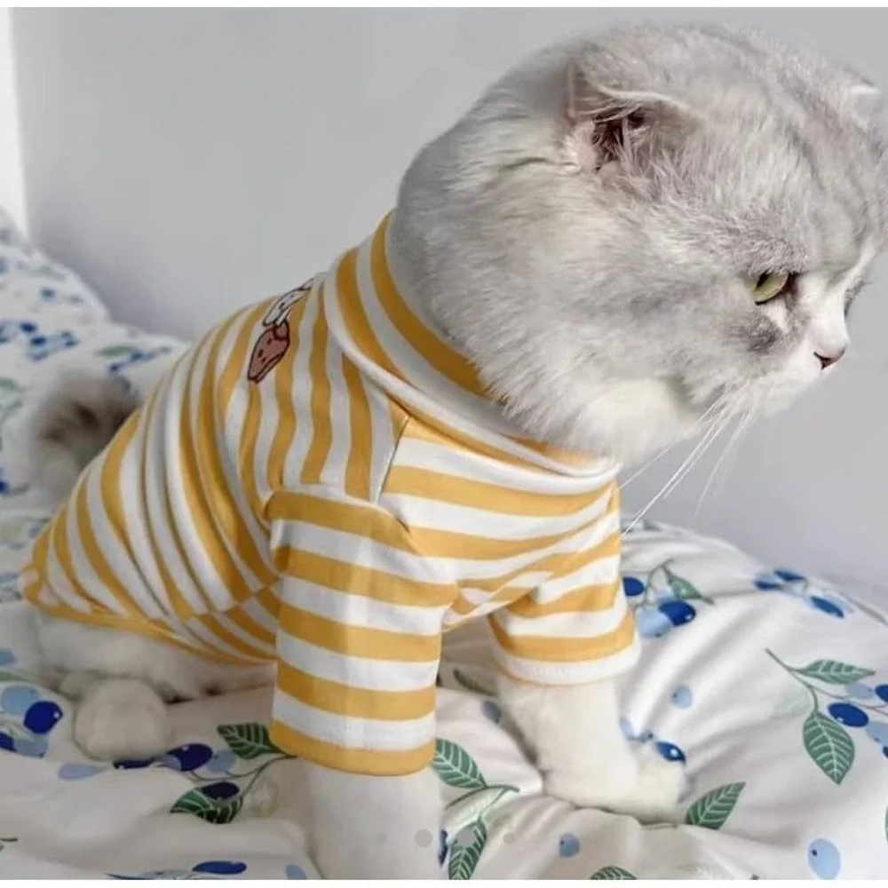 Turtleneck Dog Sweater Super Soft,‎ Pullover for Cats, size Medium Dog